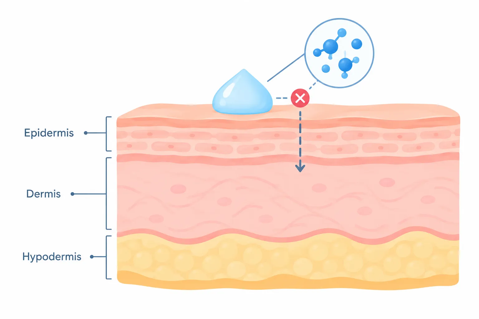 Diagram showing how topical moisturizer molecules are blocked at the skin's outer barrier layer