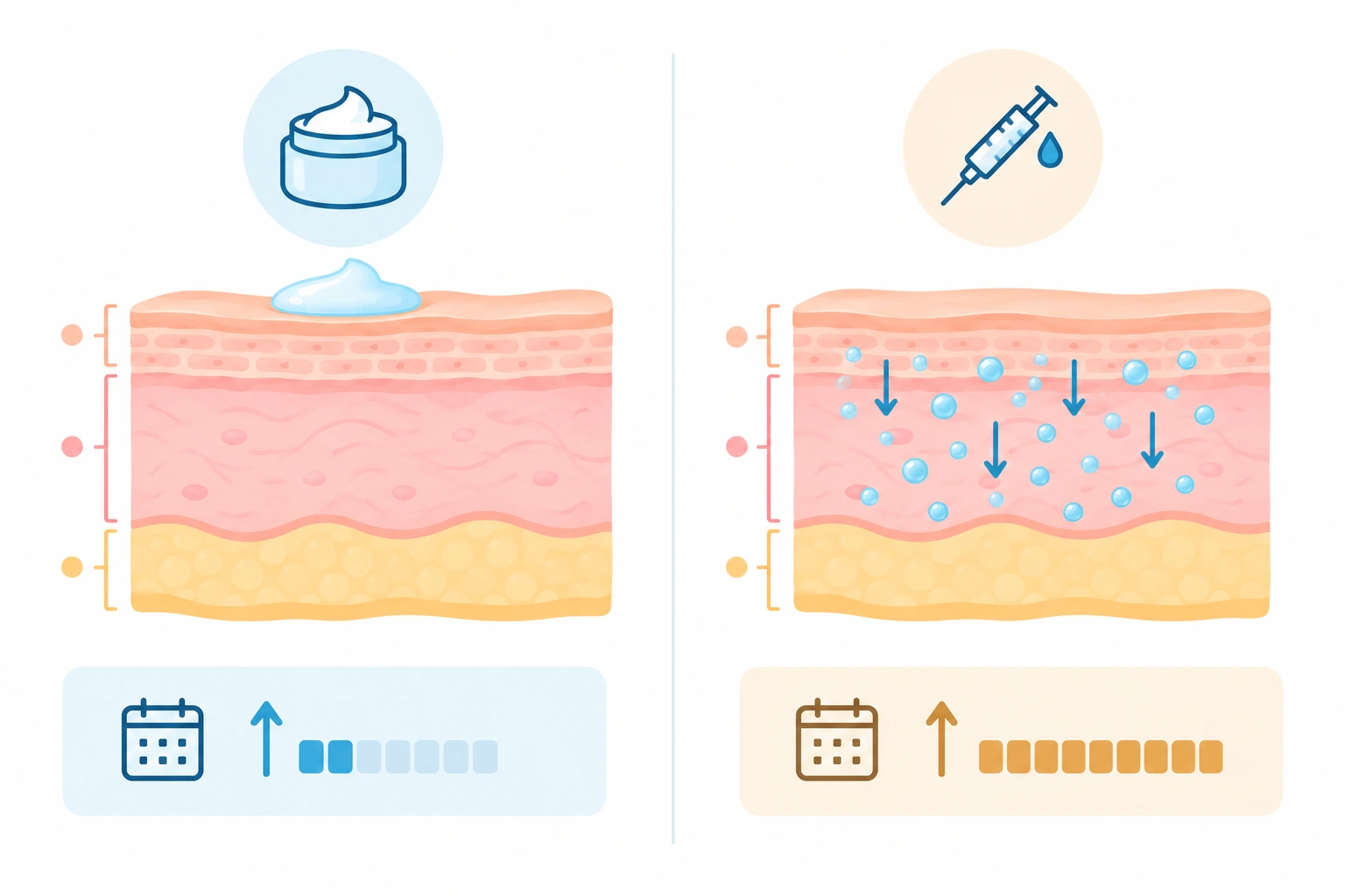 Infographic comparing the depth and duration of effect between moisturizer and skin boosters